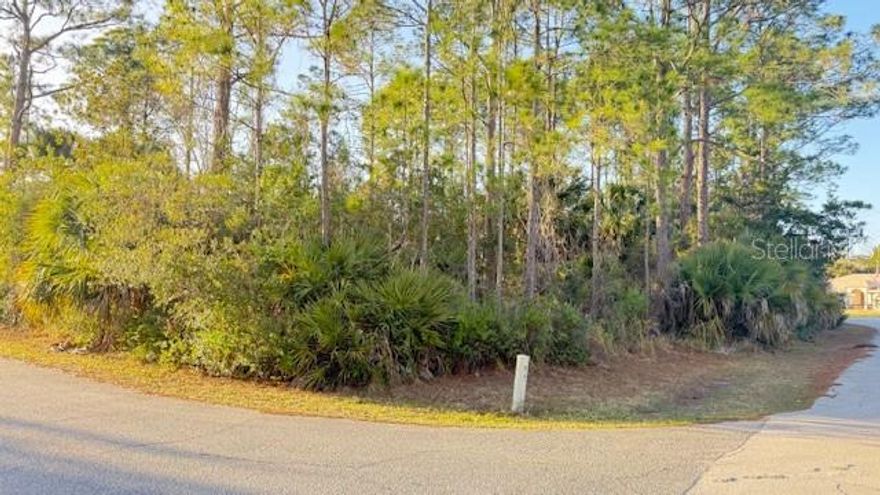 BUILD YOUR DREAM HOME ON THIS BEAUTIFUL CORNER LOT. LOCATED CONVIENENTLY IN LEHIGH WOODS COMMUNITY, CENTRAL TO TOWN. CLOSE TO   SCHOOLS AND SHOPPING. ENJOY THE ENDLESS BIKING TRAILS FOR WALKING OR RIDING.  ONLY MINUETS TO I-95 AND US 1.  A SHORT DRIVE TO FLAGLER BEACH AND ST AUGUSTINE. TAKE A DAY TRIP TO THE ATTRACTIONS IN ORLANDO.