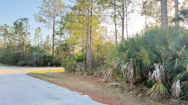 LIEGH HIGH WOODS - Land