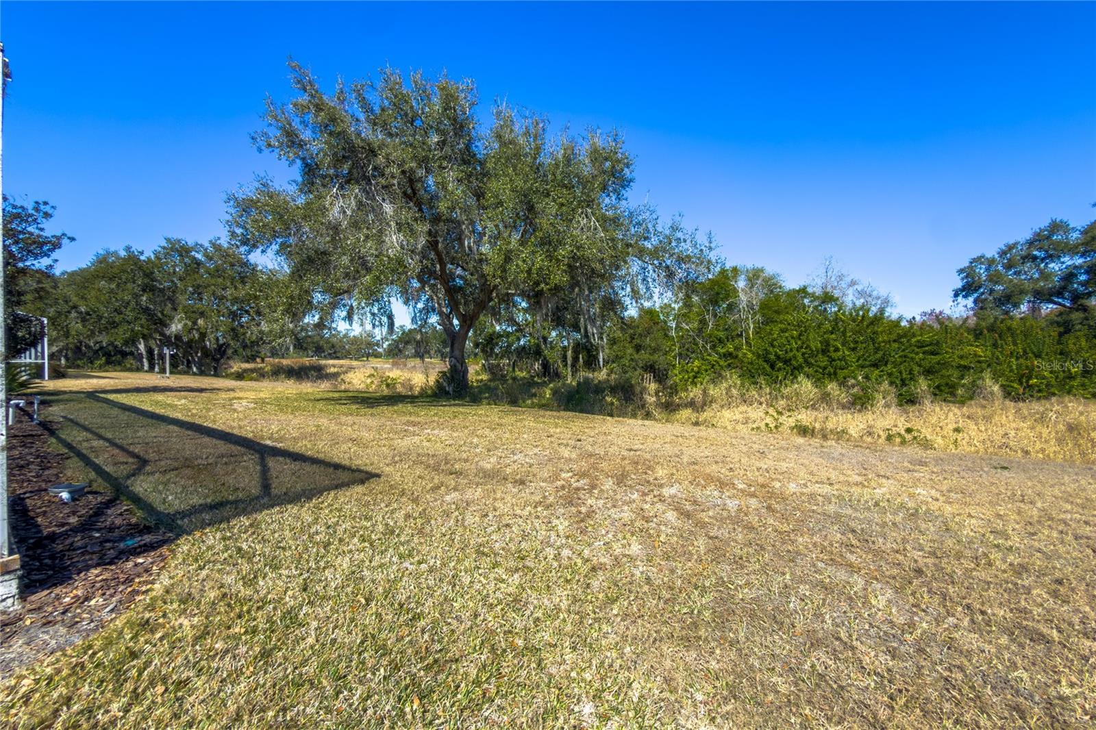 TATUM RIDGE - Residential