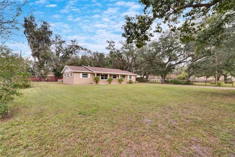 A home in PLANT CITY