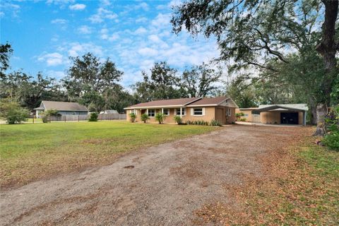 A home in PLANT CITY