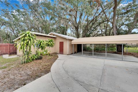 A home in PLANT CITY