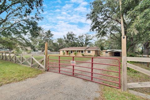 A home in PLANT CITY