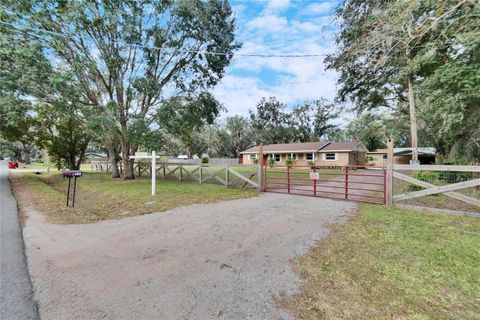 A home in PLANT CITY