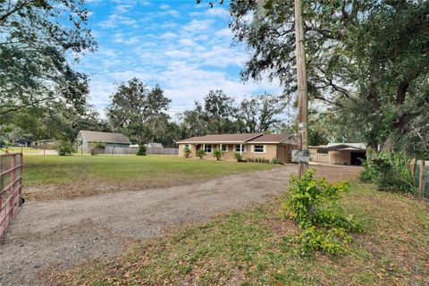 A home in PLANT CITY