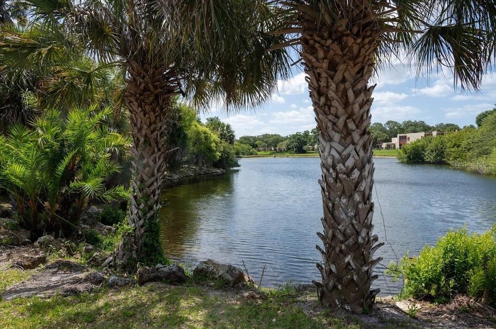 ACREAGE - Commercial Sale