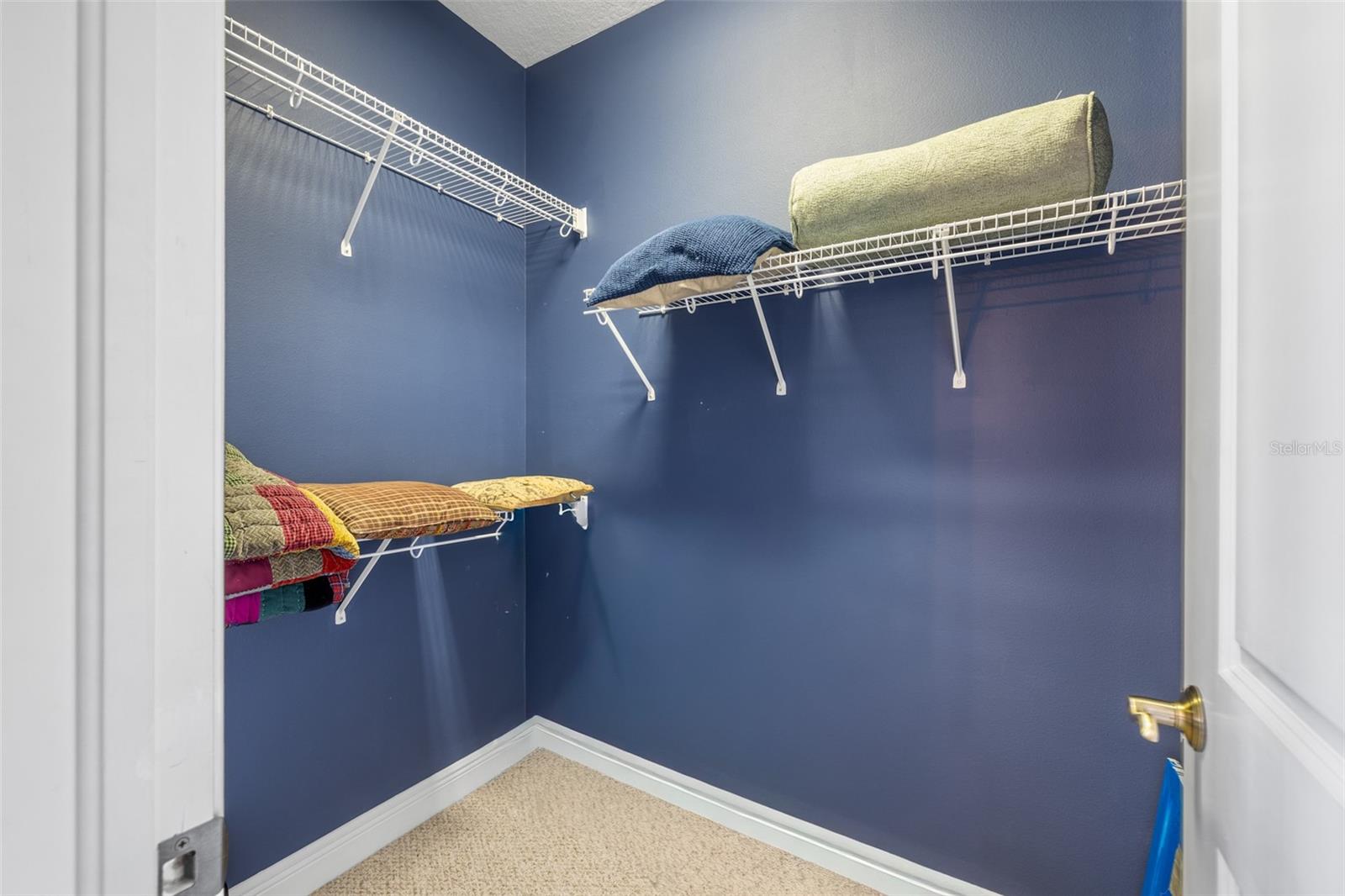 PALMA VISTA AT TAMPA PALMS - Residential