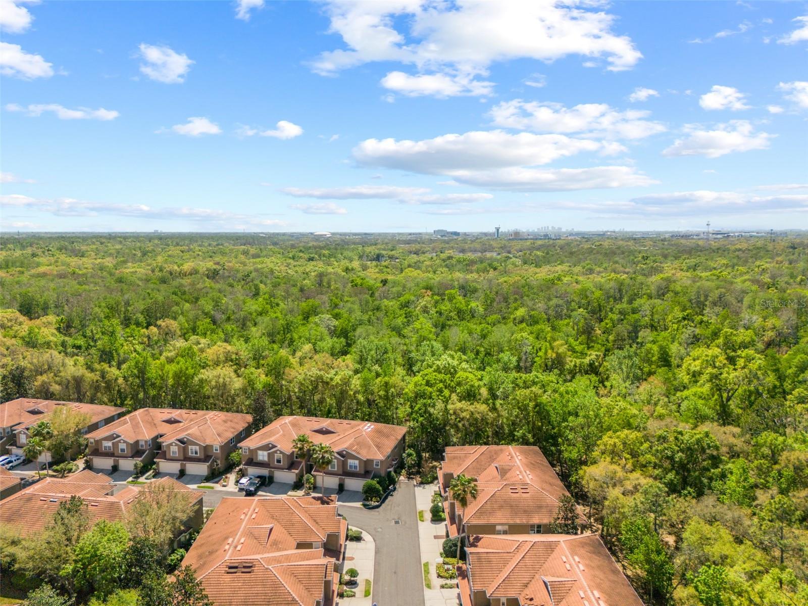 PALMA VISTA AT TAMPA PALMS - Residential