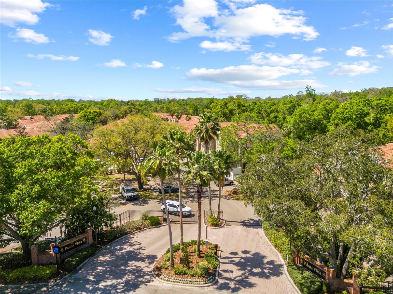 PALMA VISTA AT TAMPA PALMS - Residential