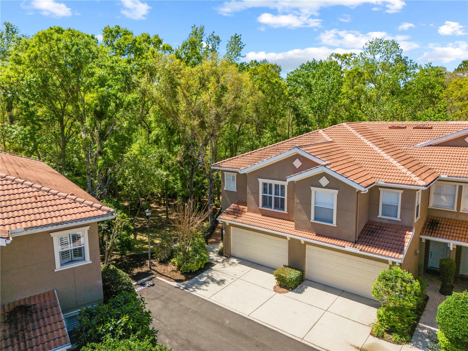 PALMA VISTA AT TAMPA PALMS - Residential