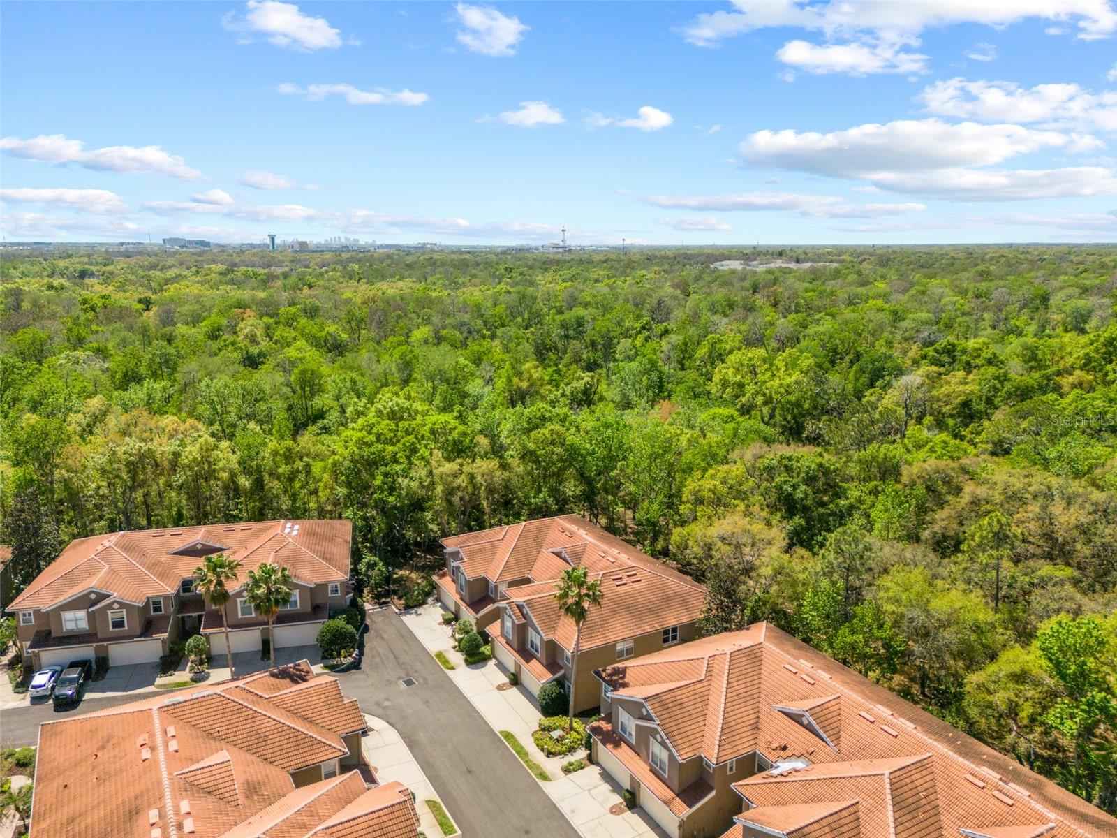 PALMA VISTA AT TAMPA PALMS - Residential