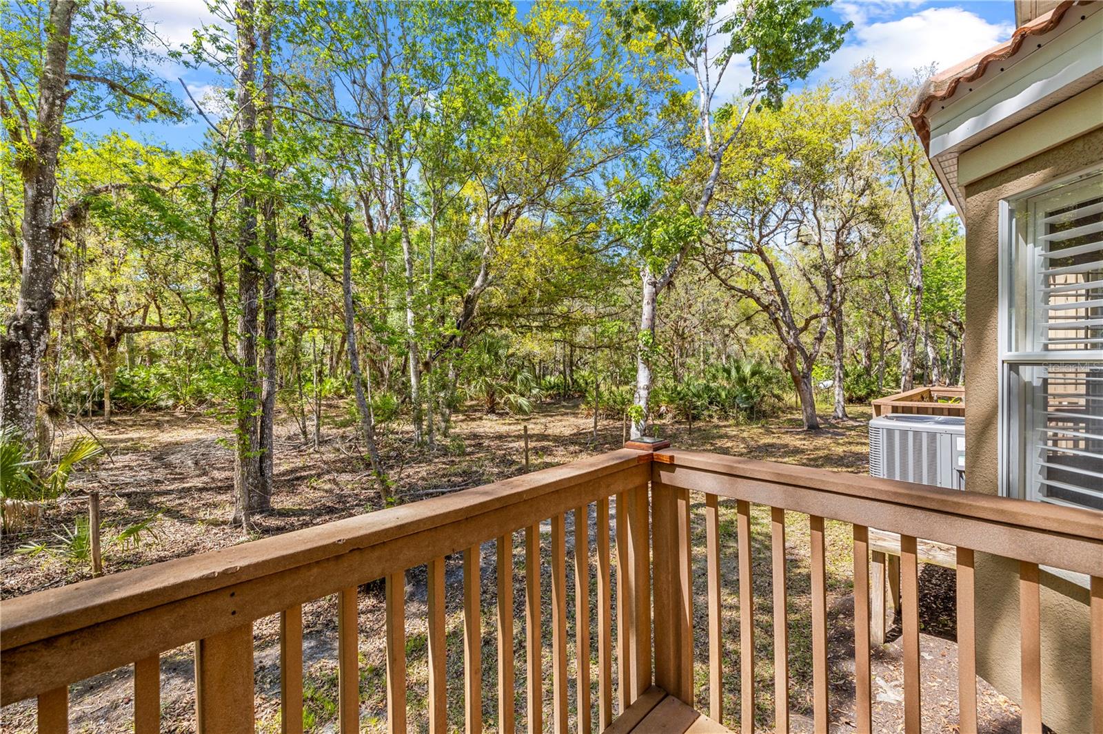 PALMA VISTA AT TAMPA PALMS - Residential