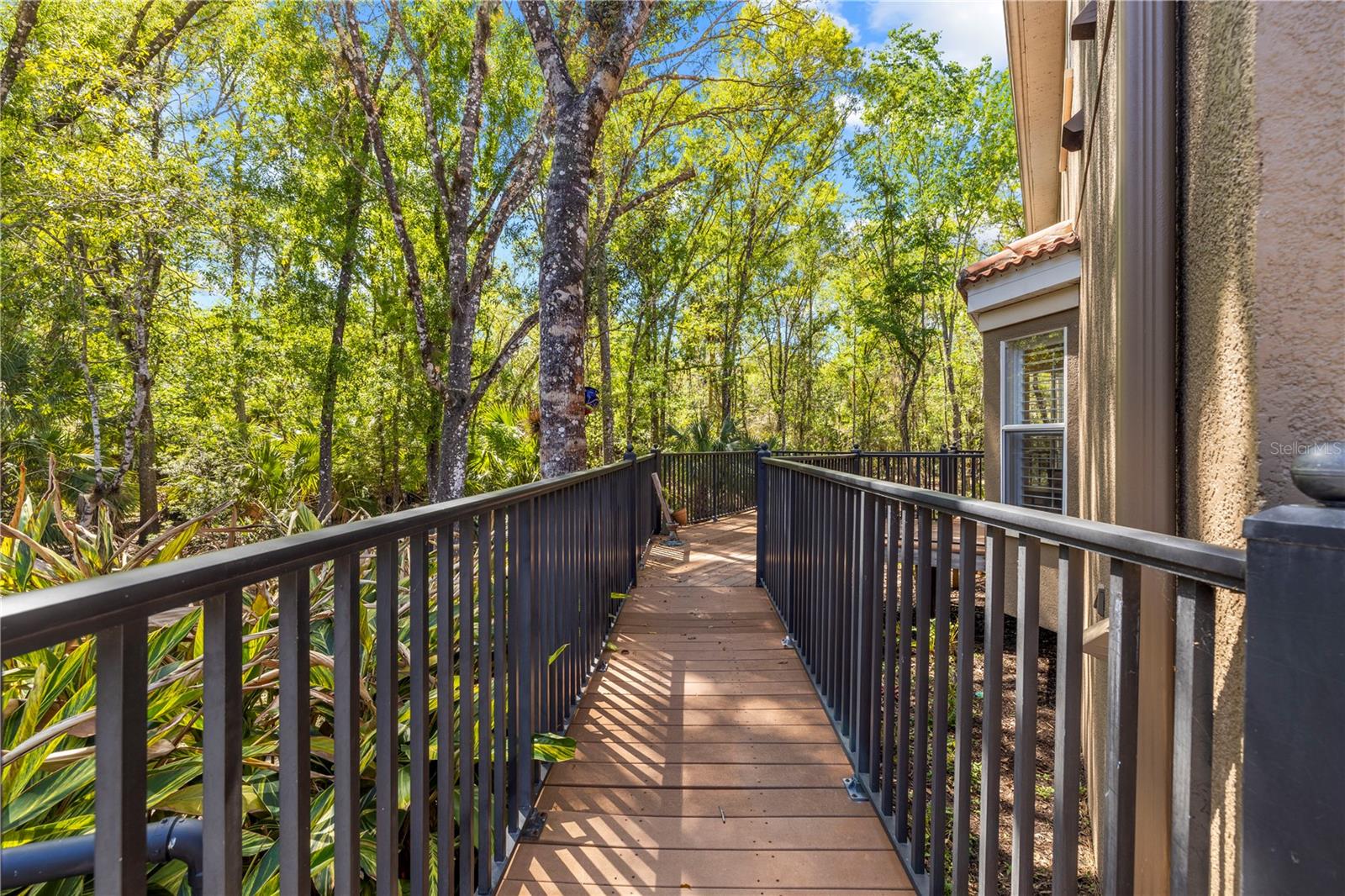 PALMA VISTA AT TAMPA PALMS - Residential