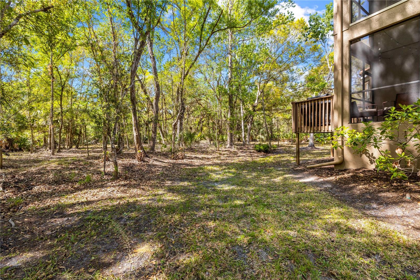 PALMA VISTA AT TAMPA PALMS - Residential