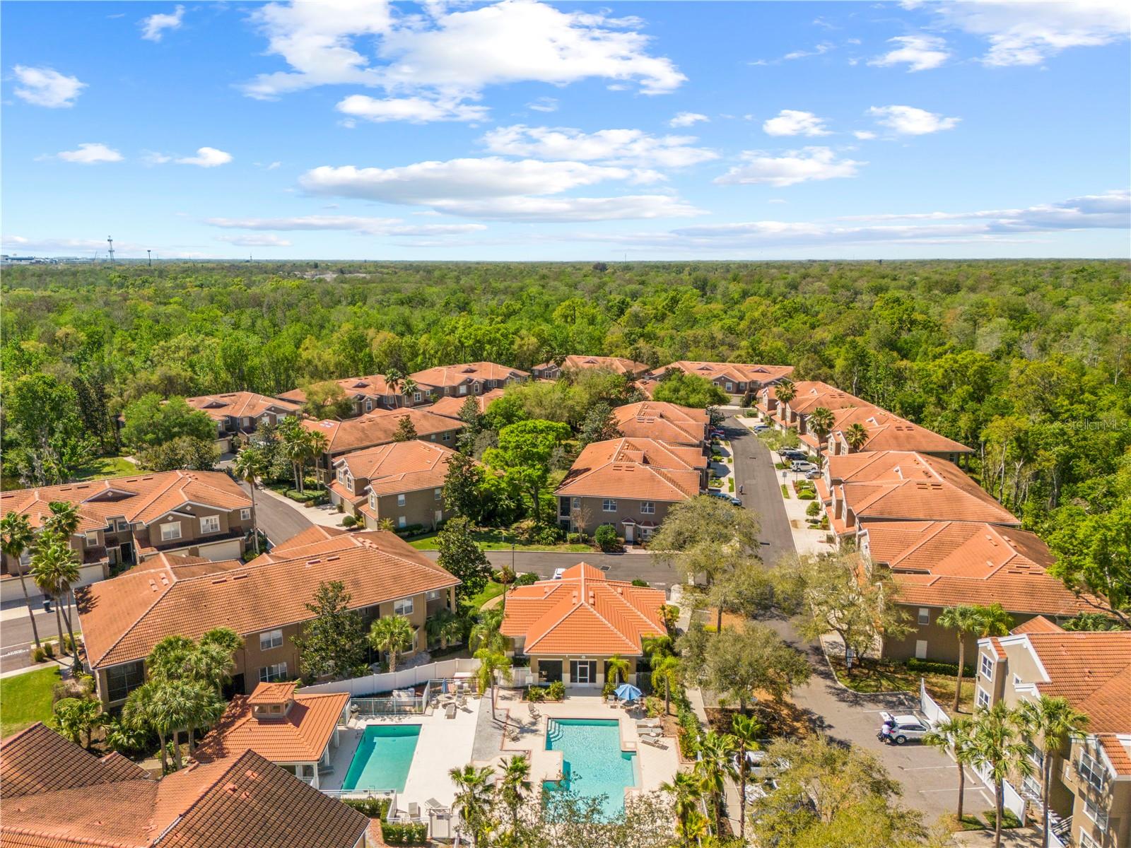 PALMA VISTA AT TAMPA PALMS - Residential