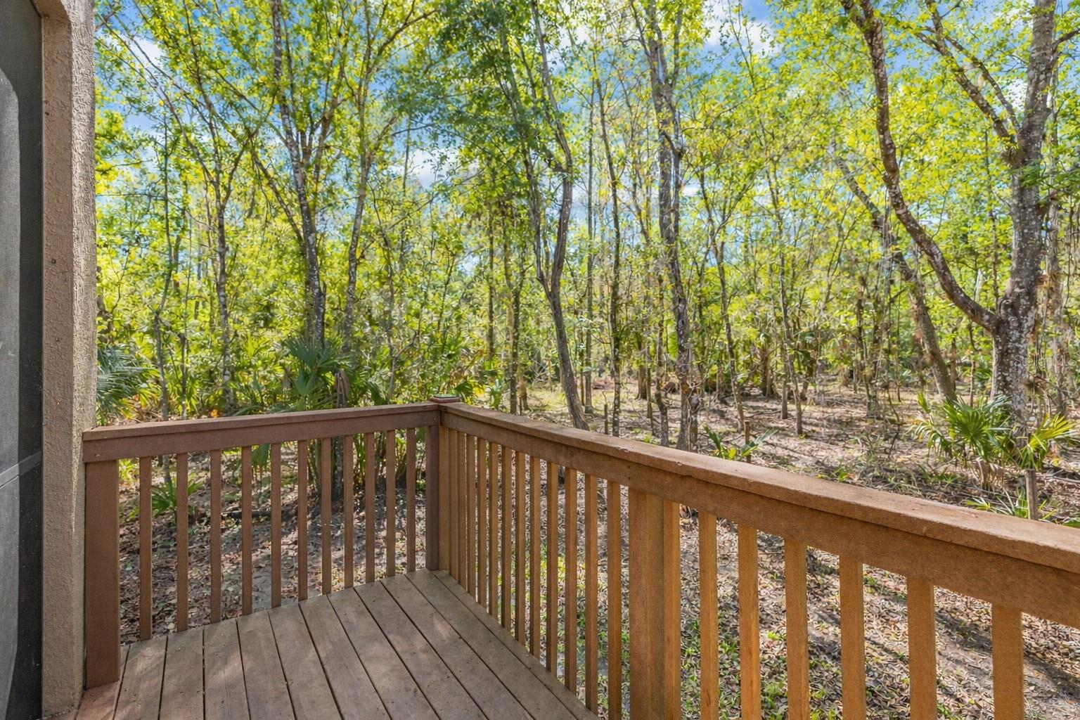 PALMA VISTA AT TAMPA PALMS - Residential