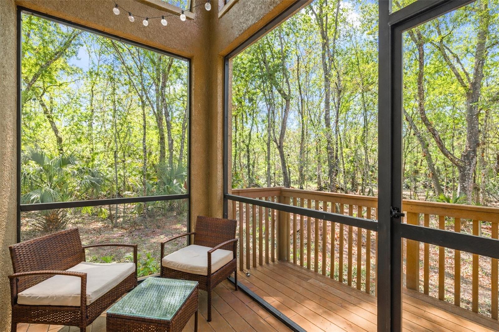 PALMA VISTA AT TAMPA PALMS - Residential