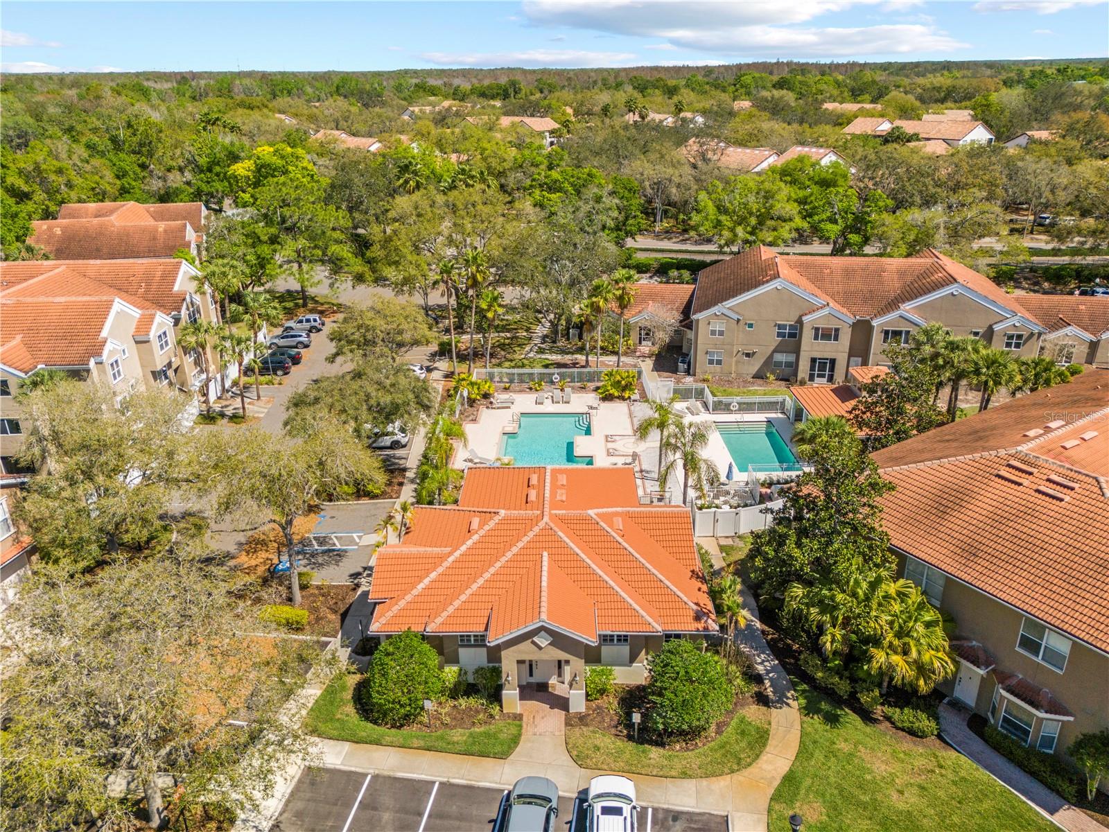 PALMA VISTA AT TAMPA PALMS - Residential