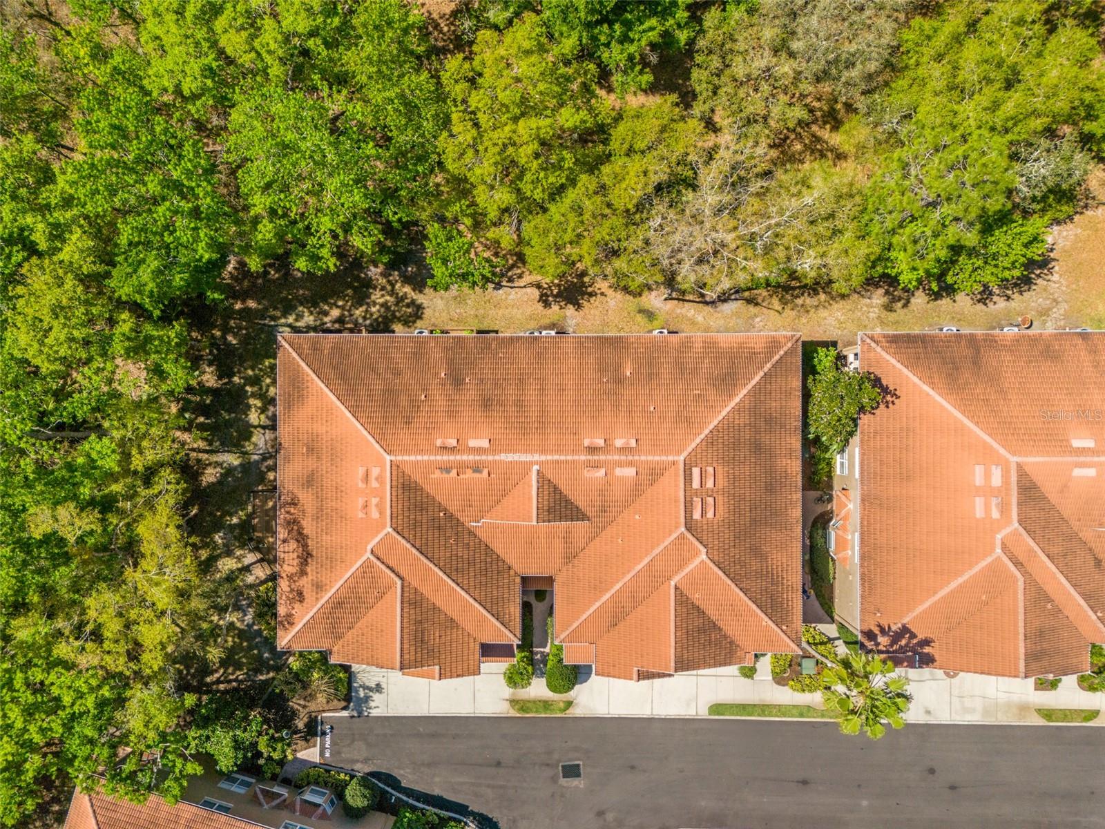 PALMA VISTA AT TAMPA PALMS - Residential