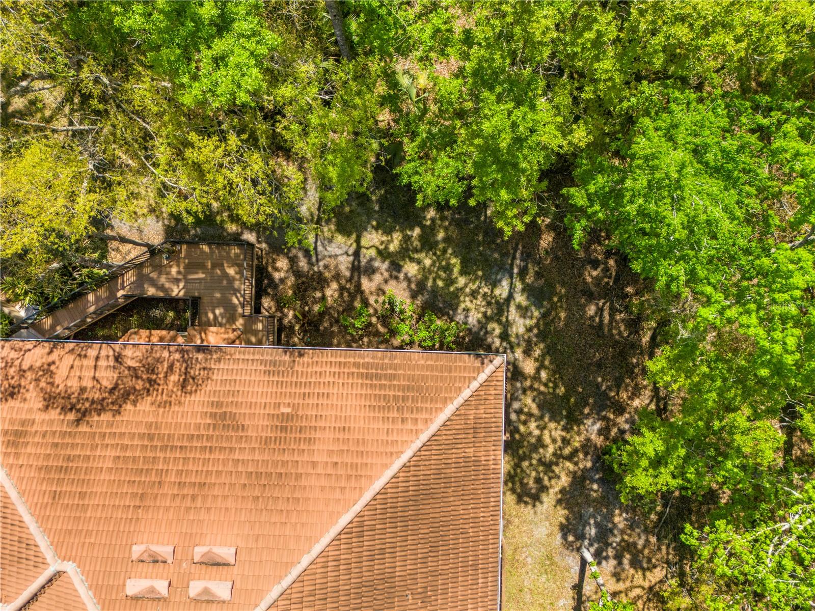 PALMA VISTA AT TAMPA PALMS - Residential