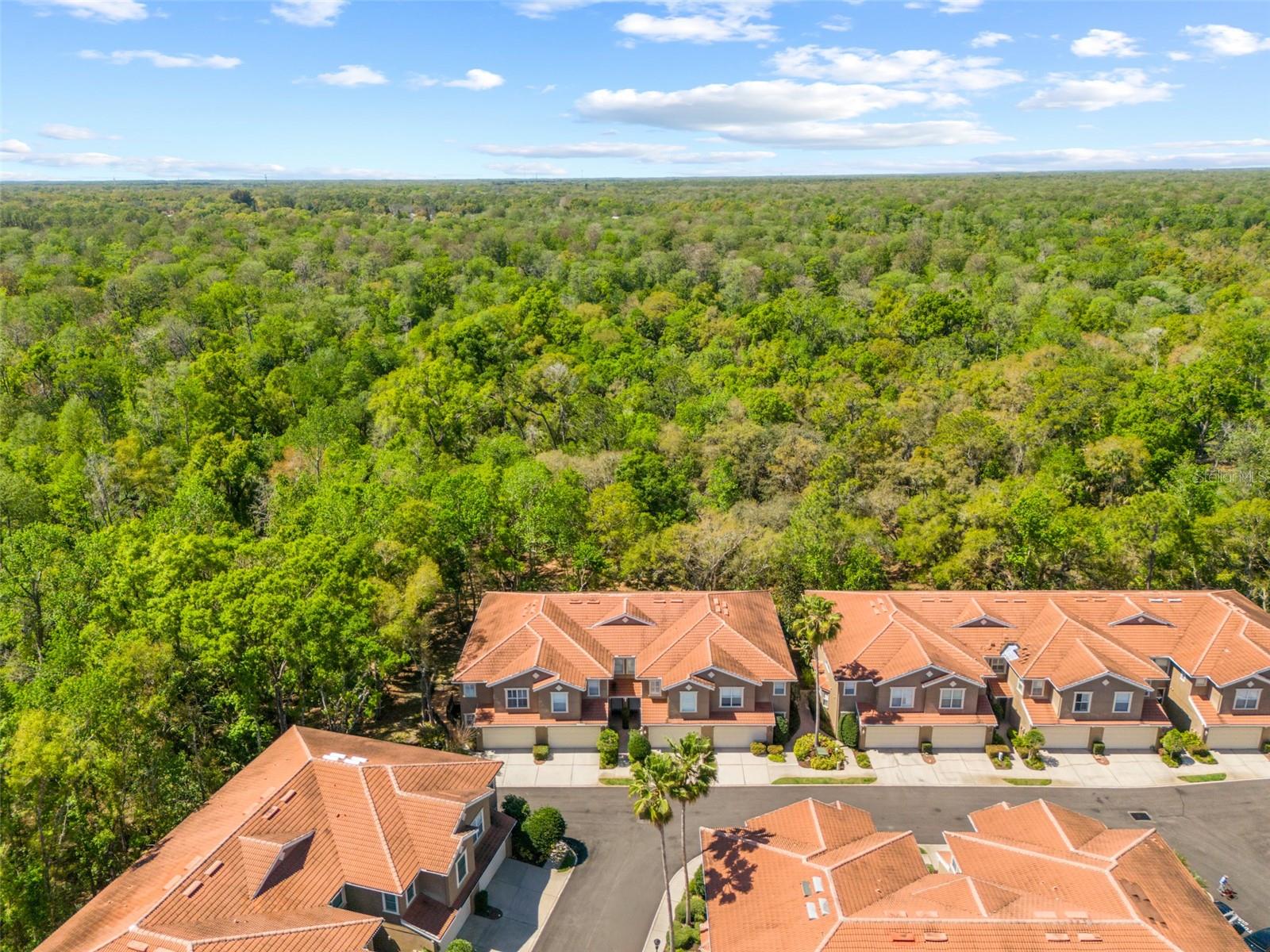 PALMA VISTA AT TAMPA PALMS - Residential