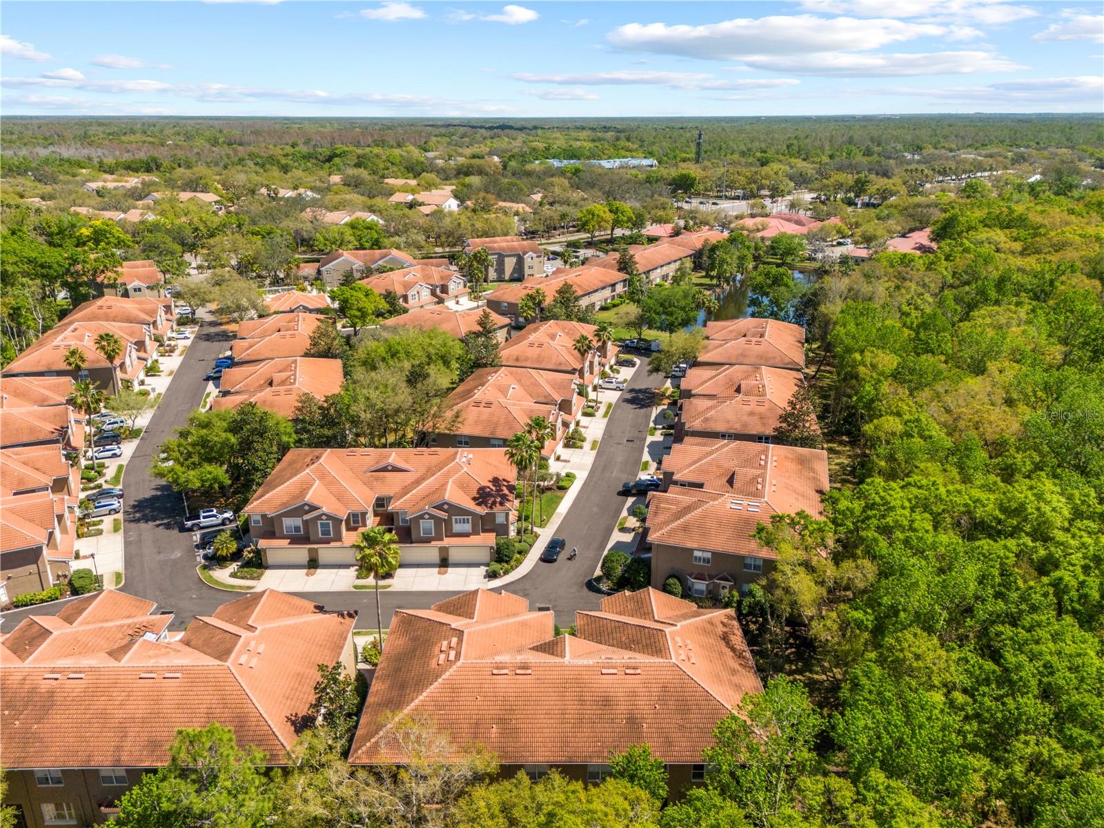 PALMA VISTA AT TAMPA PALMS - Residential