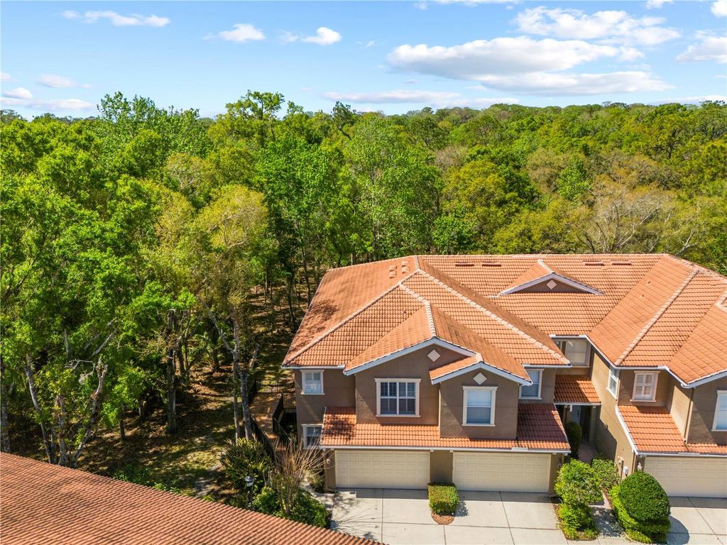 Photo of 4926 Anniston Circle, Tampa, FL 33647 (MLS # TB8484541)