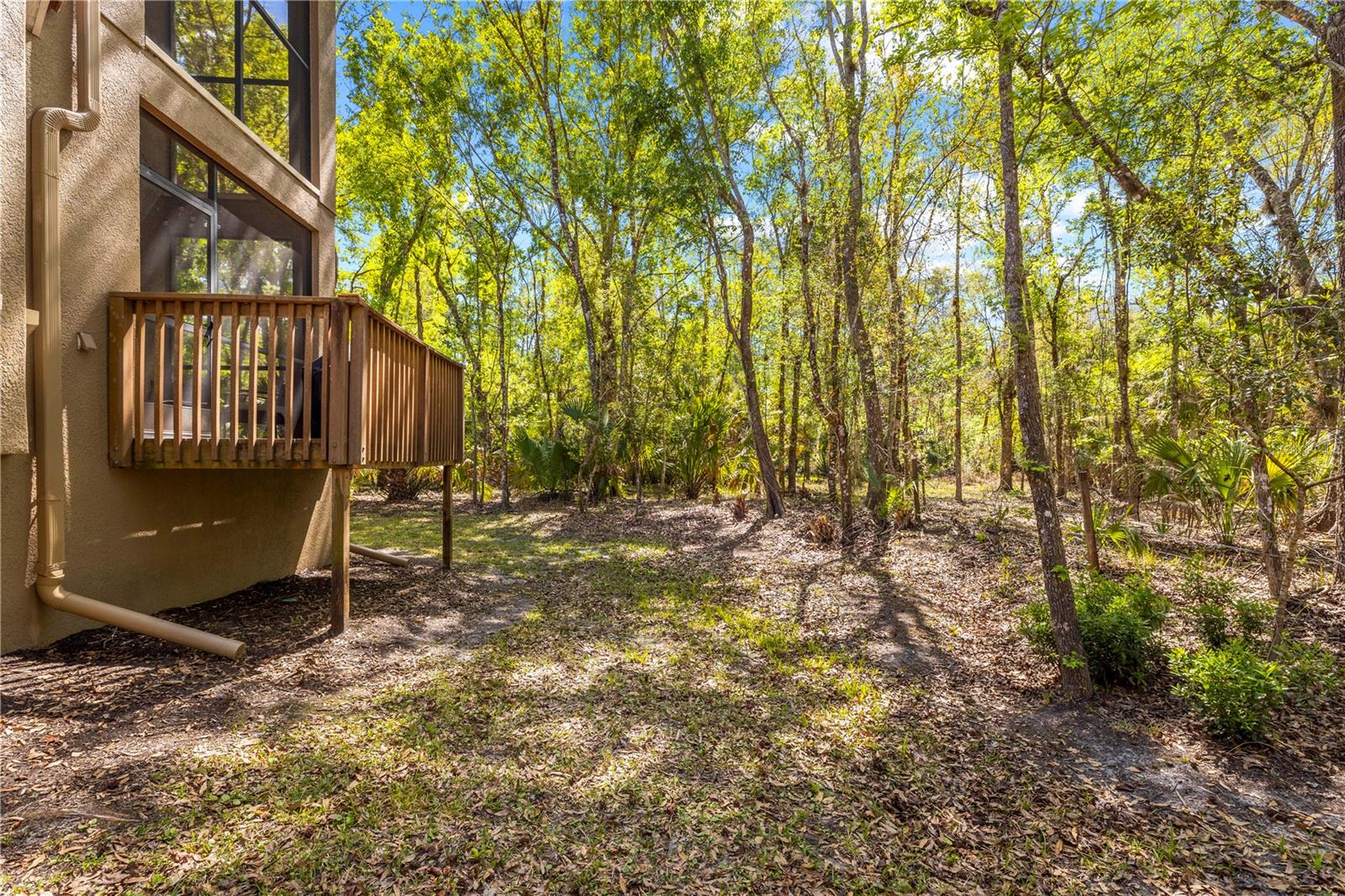 PALMA VISTA AT TAMPA PALMS - Residential