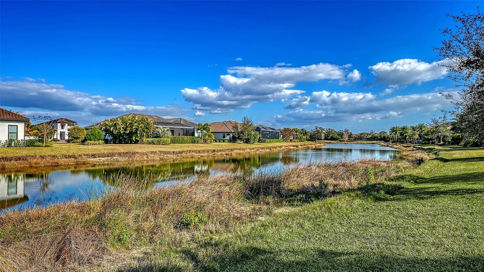 LEGACY ESTATES ON PALMER RANCH - Residential