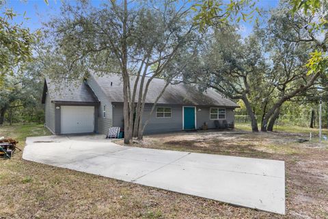 Photo of 15236 Mottled Owl Road, Brooksville, FL 34614 (MLS # W7882192)