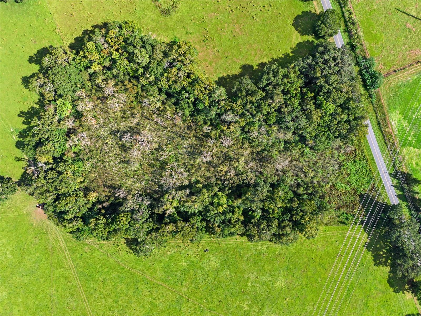 NON - SUBDIVISION - Land