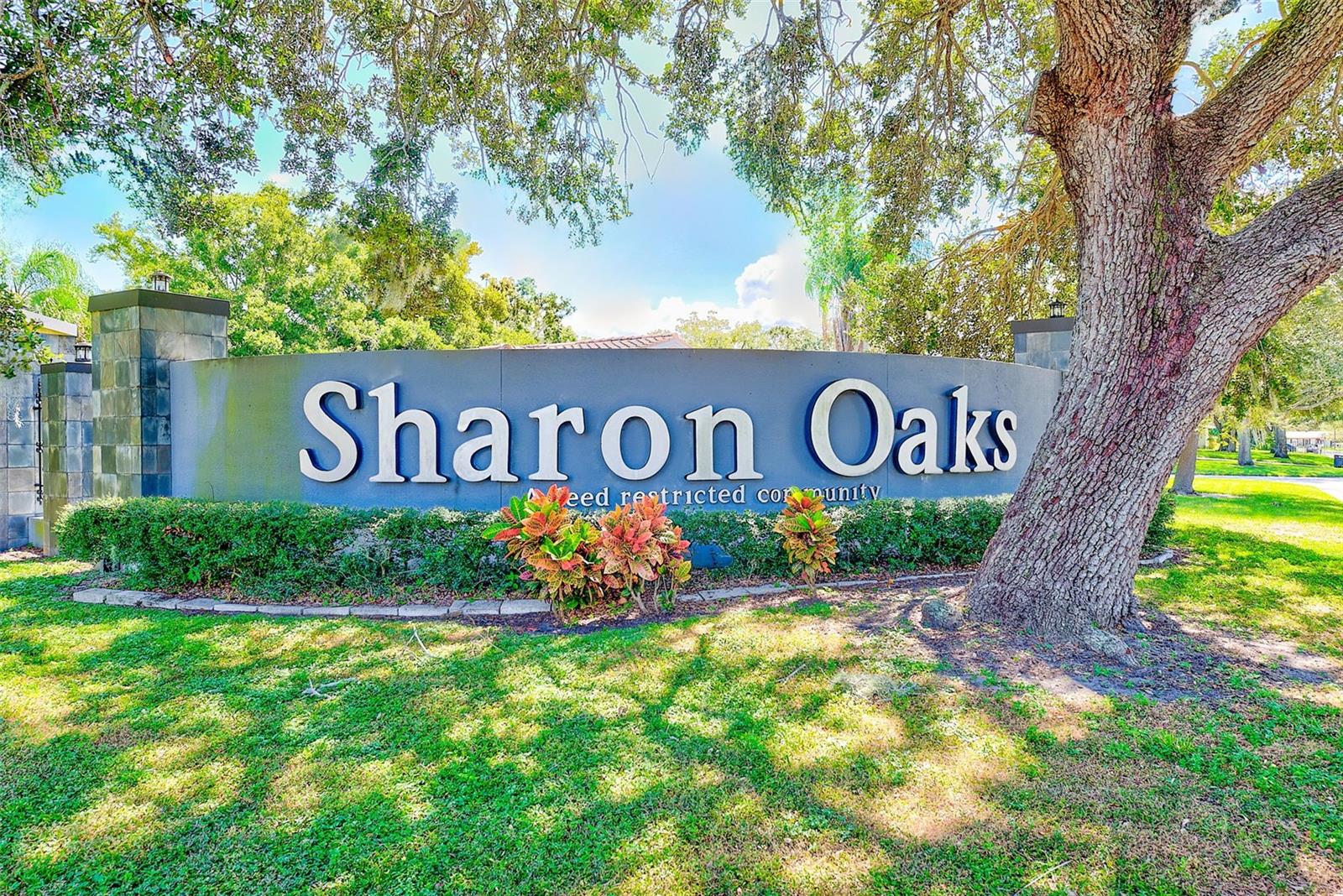 SHARON OAKS - Residential