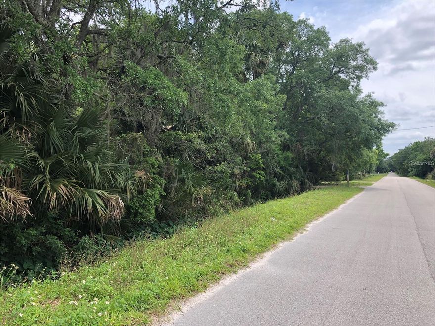 Quiet nights and wonderful wildlife surround your future home....or there's room for multiple homes. Over 6 fabulous acres that could be divided into Lots. Easy access to main roads, shopping and schools. Owner would consider financing.