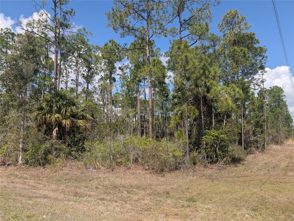 Photo of 802 Althea Drive, Indian Lake Estates, FL 33855 (MLS # P4938042)
