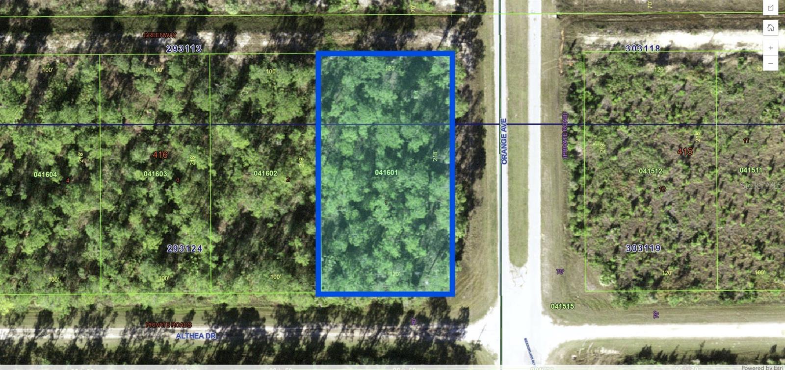 INDIAN LAKE ESTATES - Land