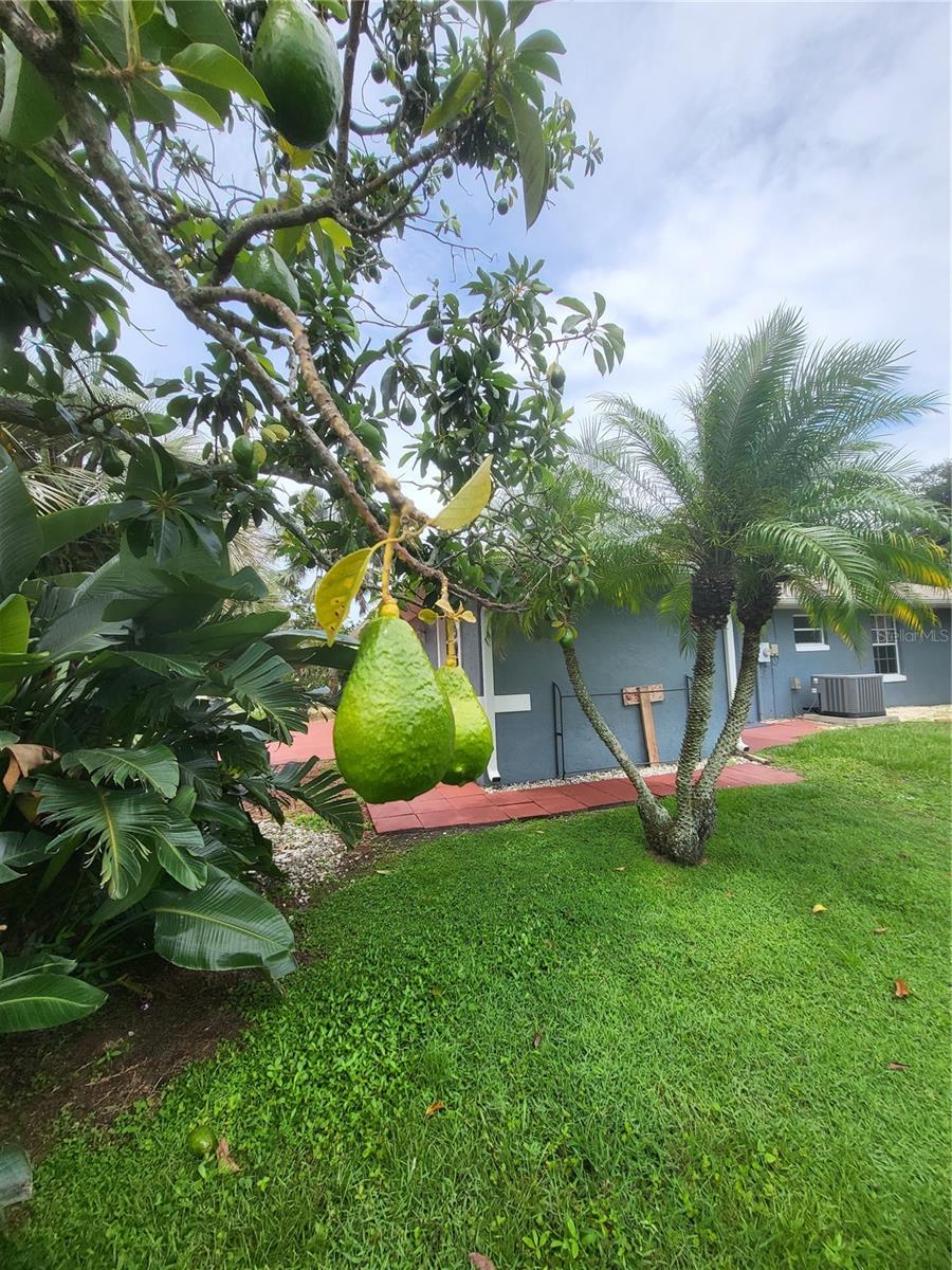 SPRING LAKE VILL 07 - Residential