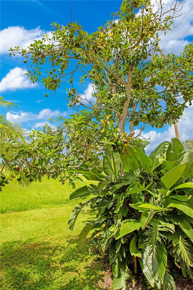 SPRING LAKE VILL 07 - Residential