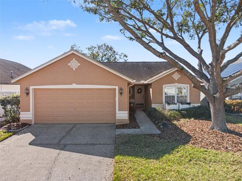 1113 VINETREE DRIVE BRANDON FL 33510