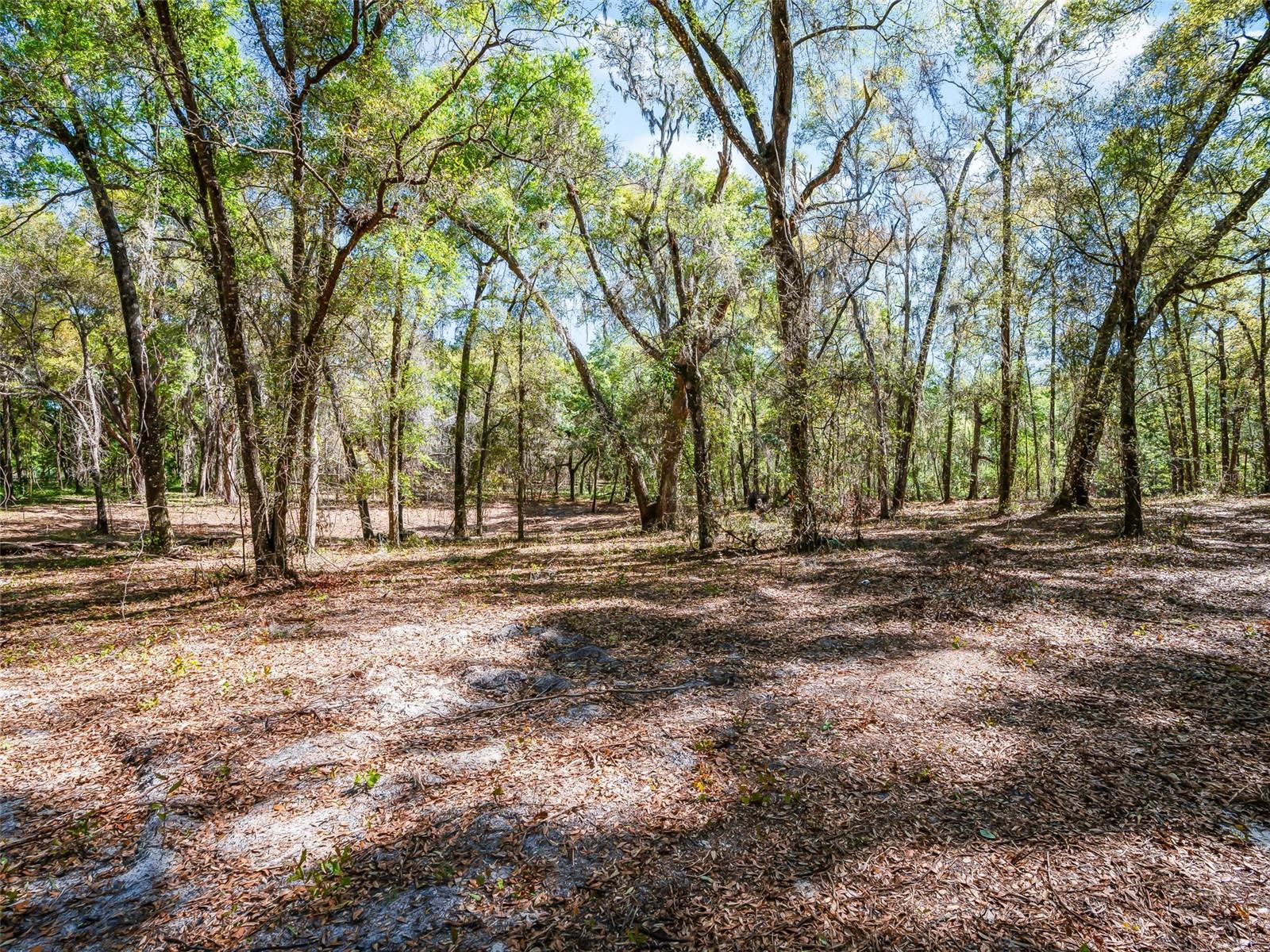 MEADOW WOOD FARMS - Land