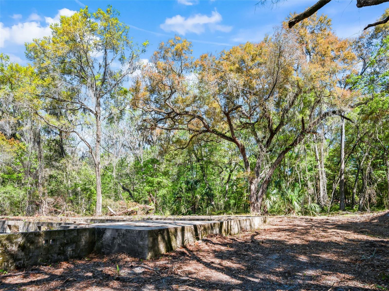 MEADOW WOOD FARMS - Land