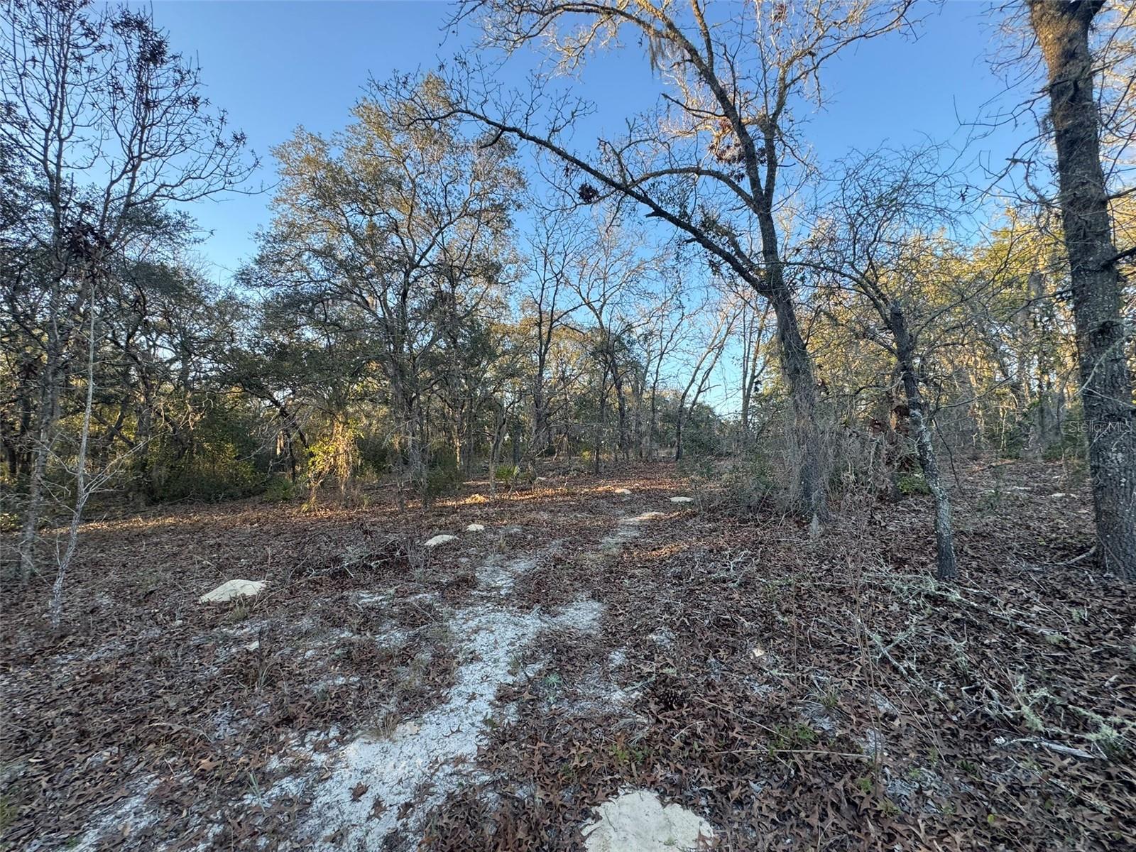 0 SW 147TH STREET ROAD