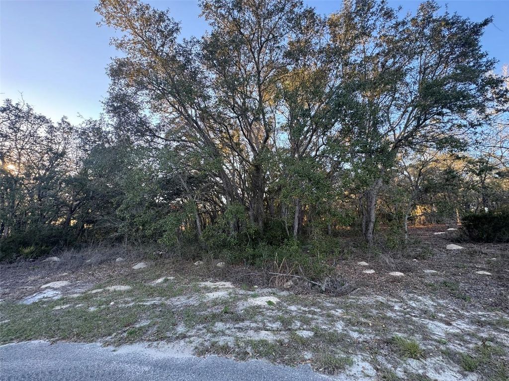 Photo of 0 SW 147th Street Road, Ocala, FL 34473 (MLS # OM721489)