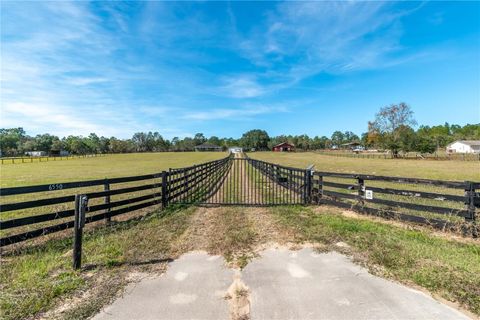 Tiny photo for 6550 SE 143rd Court, Morriston, FL 32668 (MLS # OM713409)