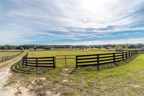 Tiny photo for 6550 SE 143rd Court, Morriston, FL 32668 (MLS # OM713409)