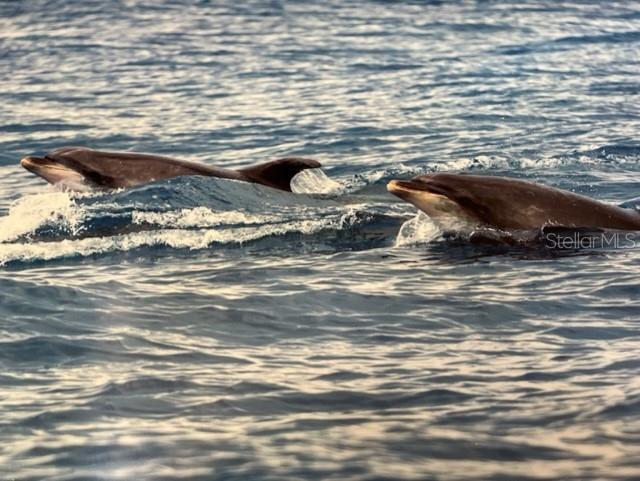 HAMMOCK DUNES CLUSTERS - Land