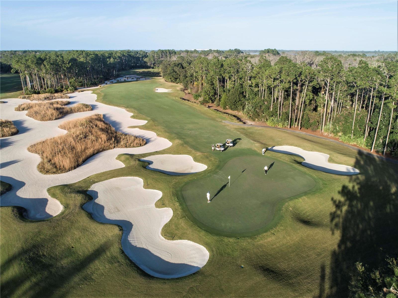 HAMMOCK DUNES CLUSTERS - Land