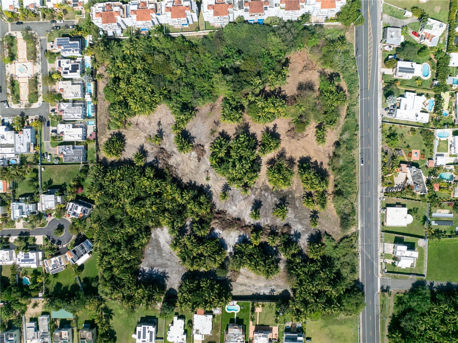 LOT SABANA, VEGA ALTA - Land