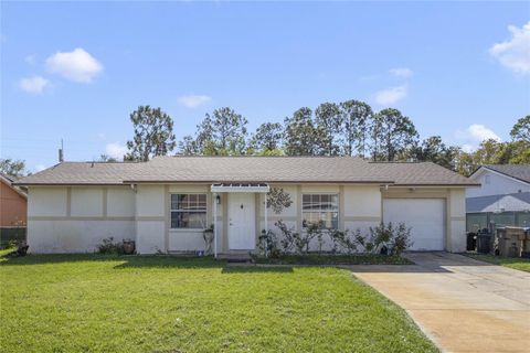 A home in KISSIMMEE