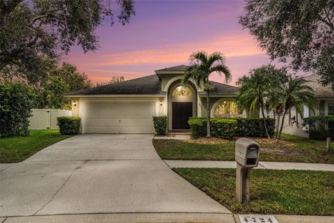 Photo of 4724 Preston Woods Dr, Valrico, FL 33596 (MLS # TB8427945)