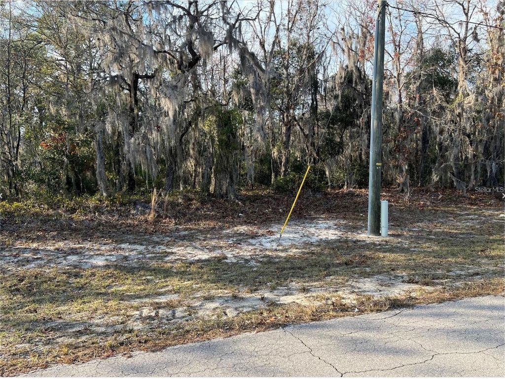 Photo of 0-15 SW 83rd Circle, Ocala, FL 34473 (MLS # OM718853)